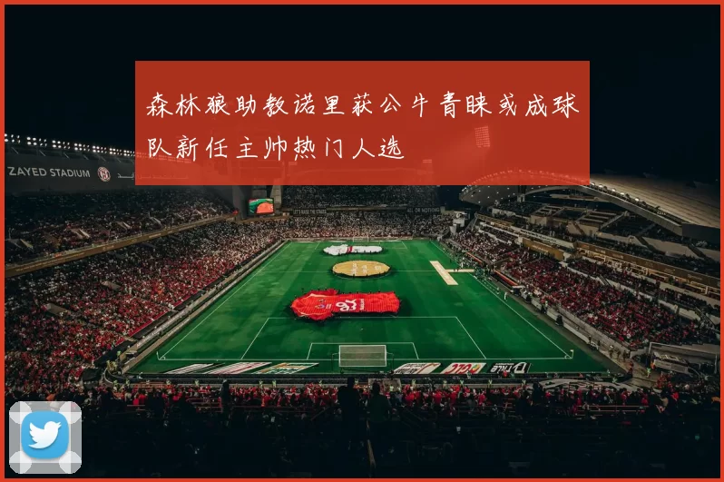 森林狼助教诺里获公牛青睐或成球队新任主帅热门人选