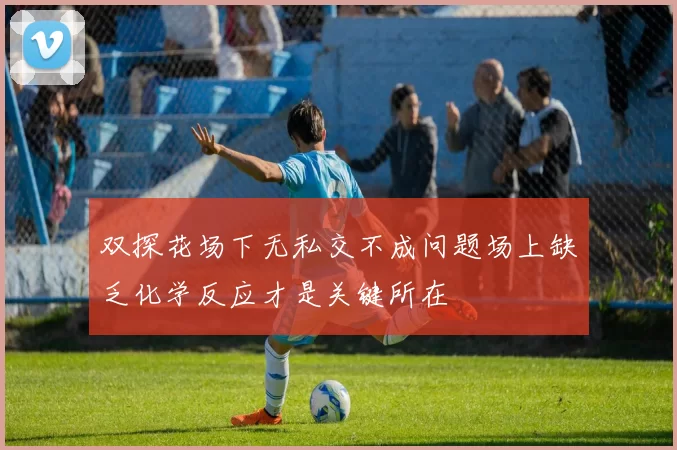 双探花场下无私交不成问题场上缺乏化学反应才是关键所在